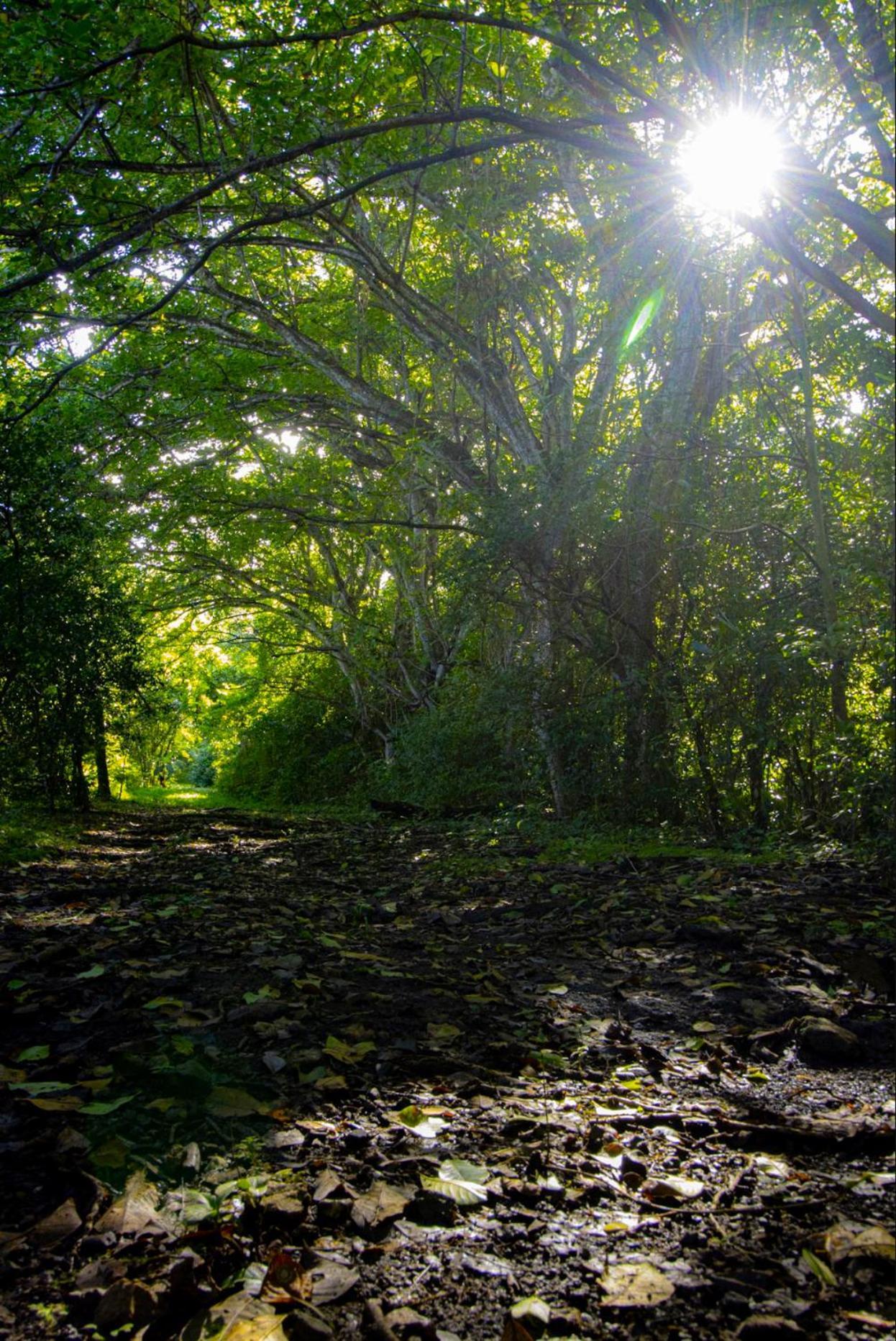 Cabinas La Fulanita Península de Nicoya Exterior foto